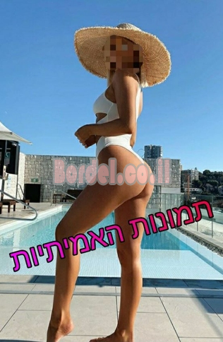 מוצלח והמדיני, צריך תמיכה