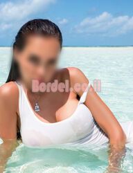 נפלא לחקור, יודע את השפה העברית